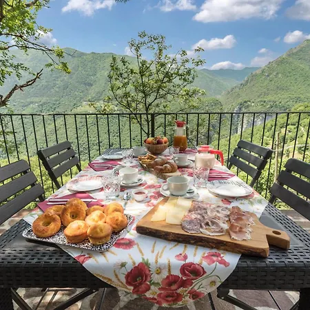 Nonno Bigi Tulipano Tremosine